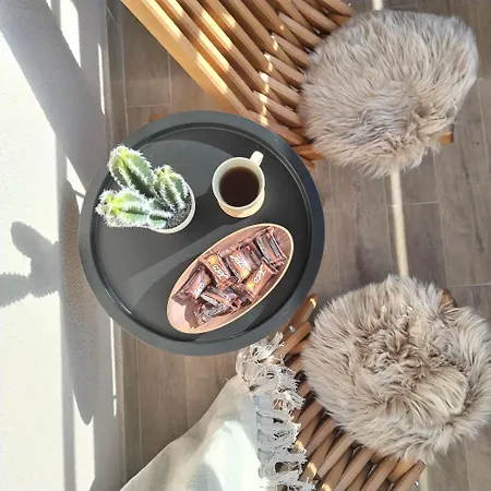 The Nordic ズラティボール