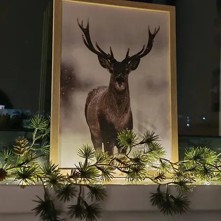 The Nordic זלאטיבור