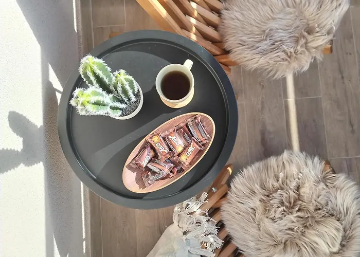 The Nordic ズラティボール